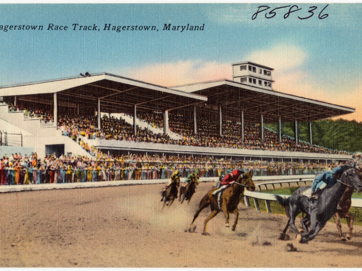 Horse Racing in Hagerstown
